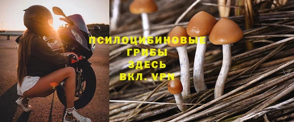 spice Армянск
