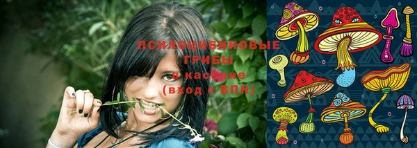 не бодяженный Арсеньев